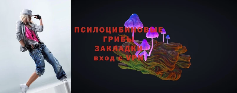 Галлюциногенные грибы Cubensis  Сорск 